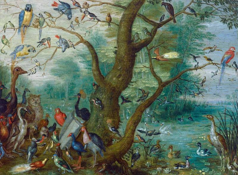 Jan Van Kessel Concert van Vogels China oil painting art